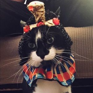 Meet your Posher, Edith